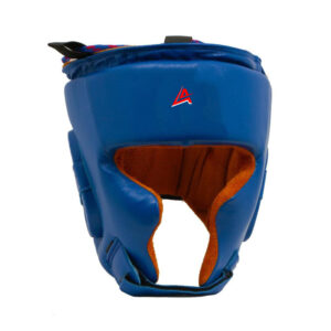Head Guards
