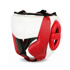 Head Guards