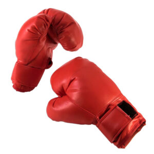 Boxing Glove